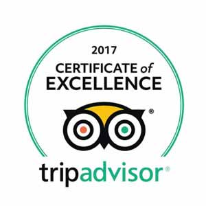 certificate of excellence 2017